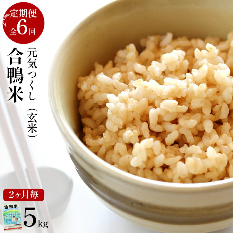 【ふるさと納税】《先行予約》令和8年産 合鴨米「元気つくし」（玄米・5kg）定期便6回コース 数量限定 ※令和8年10月スタートの定期便 新米 BI10