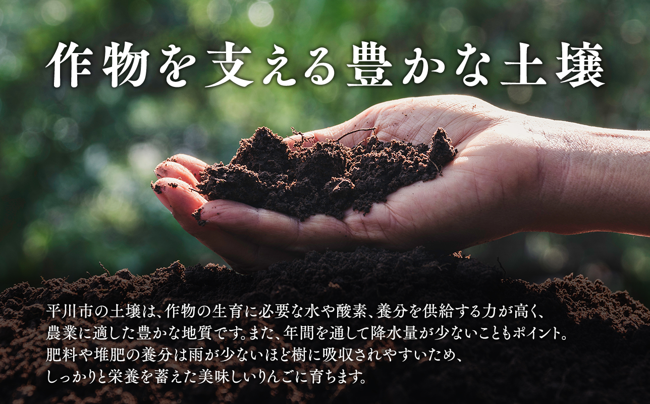 5月発送【訳あり】家庭用有袋ふじ約5kg クール便【原田青果】りんご 林檎 リンゴ 果物 くだもの フルーツ 不揃い 規格外