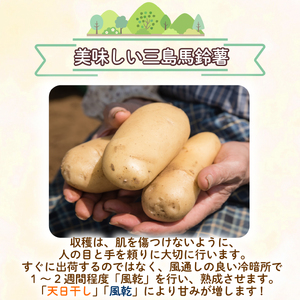三島馬鈴薯 5kg JAふじ伊豆 じゃがいも 馬鈴薯 三島 いも 野菜 芋 農作物 ポテト コロッケ 肉 じゃが 【化粧箱入り】
