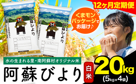 【12ヶ月定期便】阿蘇びより 白米 20kg (5kg×4袋)《1月から出荷開始》 ｜国産米 人気米 熊本県産米 お米 生活応援米