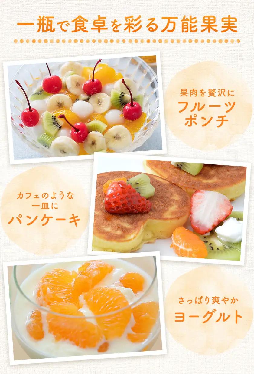 十万みかん シロップ漬け 170g 4本 田野農園《30日以内に出荷予定(土日祝除く)》鹿児島県 さつま町