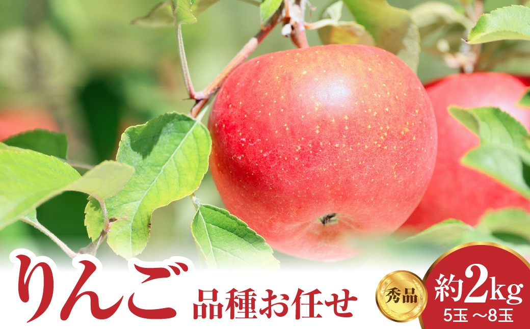 
                  【先行予約】 令和8年産 りんご 品種お任せ 秀品 約2kg 5玉 ～ 8玉 中生種 涼香の季節 昂林 など 2026年10月上旬～下旬頃 お届け予定 山形県 米沢市
                