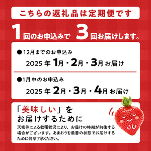 【定期便 3回】うるう農園の特別栽培あまおう サイズ色々4パック1140g×3回 