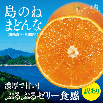 【先行受付】島のね農園 まどんな(4kg) 【K001630】