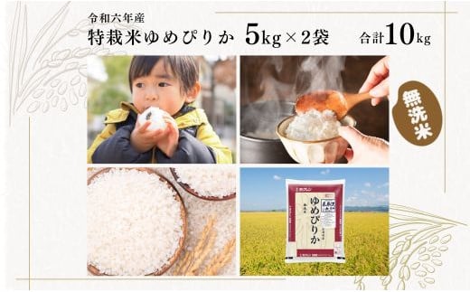 日経トレンディ「米のヒット甲子園」大賞受賞『特栽米ゆめぴりか無洗米5kg×2袋』