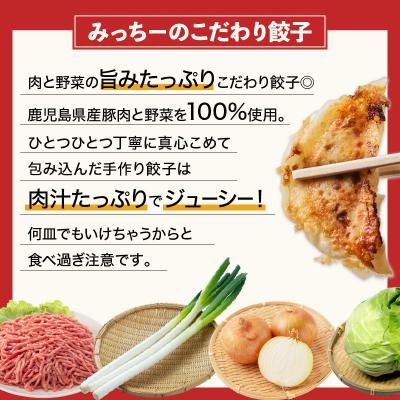 ふるさと納税 鹿児島市 【5営業日以内に発送】鹿児島人気餃子店の餃子食べ比べセット　K118-001 |  | 02