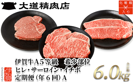 【年6回偶数月発送】伊賀牛 A5ヒレ・サーロイン・イチボ 定期便A 総合計約6.0kg【dido-tkb0023】