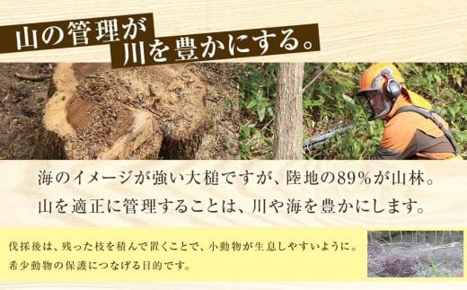 山を適正に管理するために、伐採作業を行っています