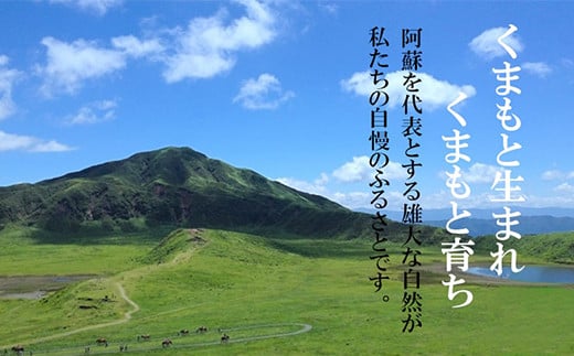 熊本県産 GI認証取得 くまもとあか牛 切り落とし 合計1kg 牛肉