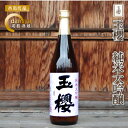 【ふるさと納税】玉櫻　純米大吟醸 720ml