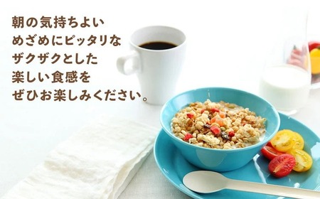 【定期便全3回】 ＜毎月発送＞ カルビー　フルグラ2種(フルグラ・チョコバナナ味)3個セット  全3回 | シリアル フルーツ グラノーラ 朝食 朝ごはん 健康 食物繊維 鉄分 ビタミン 減塩 栄養補