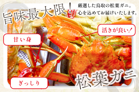 【蒸し】タグ付き松葉ガニ 大 2枚 【松葉ガニ 松葉がに 松葉蟹 まつばがに かに カニ 冷蔵 チルド ブランド ズワイガニ 蒸し ボイル タグ付き 国産 季節限定 お取り寄せ お祝い 鳥取県 日吉津