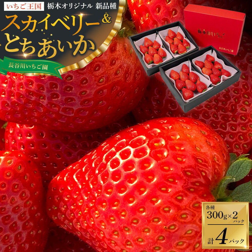 【ふるさと納税】甘くて大きい！長谷川いちご園 スカイベリー ＆ とちあいか セット 計4パック | 果物 フルーツ いちご 栃木 ブランド 栃木県【フルーツ 果物 くだもの 食品 人気 おすすめ 】