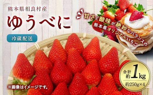 
相良村産 いちご「ゆうべに」 250g×4パック 日野農園 【2024年12月上旬～2025年4月下旬発送予定】
