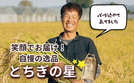2026年 先行予約【定期便3回】令和大嘗祭献上米！真岡市産 とちぎの星（精米）10kg (CN)