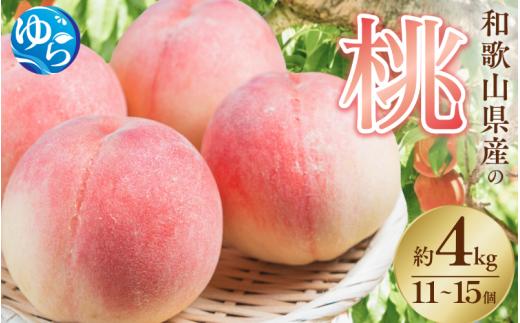 和歌山県産の 桃 11～15個(4kg) / もも モモ フルーツ 果物  厳選 甘い ※2026年7月上旬～8月上旬発送 ※北海道・沖縄・離島配送不可  【eiw013】