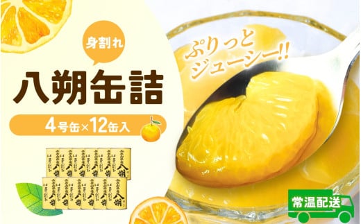 和歌山県産八朔缶詰（身割れ） 約425ｇ×12缶セット【入金確定後より7営業日以内に発送予定】/ 八朔 缶詰 はっさく フルーツ缶 八朔缶 シロップ漬け シロップ缶【KF7】