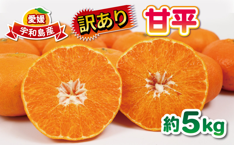 
                  訳あり 甘平 5kg 大田農園 高級 希少 限定 品種 甘い シャキシャキ 果物 くだもの 先行予約 mikan フルーツ 柑橘 みかん かんぺい 訳アリ 訳あり品 訳有り わけあり 愛媛みかん 愛媛ミカン 愛媛県産 愛媛蜜柑 国産 愛媛 宇和島 産地直送 農家直送 数量限定 B012-121002
                