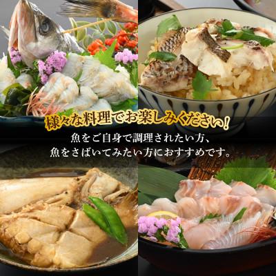 ふるさと納税 小浜市 【加福鮮魚】塩干し、醤油干し、味噌漬けされた干物の詰め合わせ! |  | 03