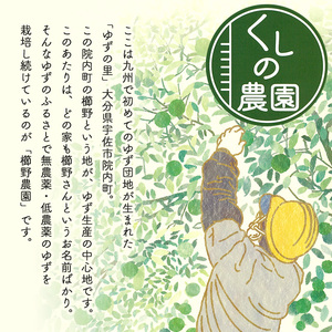 ゆずティーセット(計840ml・280ml×3本)ゆず 柚子 自家製 果汁100％ ティー はちみつ 蜂蜜 大分県産 セット【100600400】【櫛野農園】