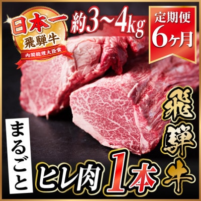 【毎月定期便】飛騨牛 ヒレ1本(約3～4kg)【シャトーブリアン＆ヒレ】冷蔵便 ステーキ全6回【配送不可地域：離島】【4084144】