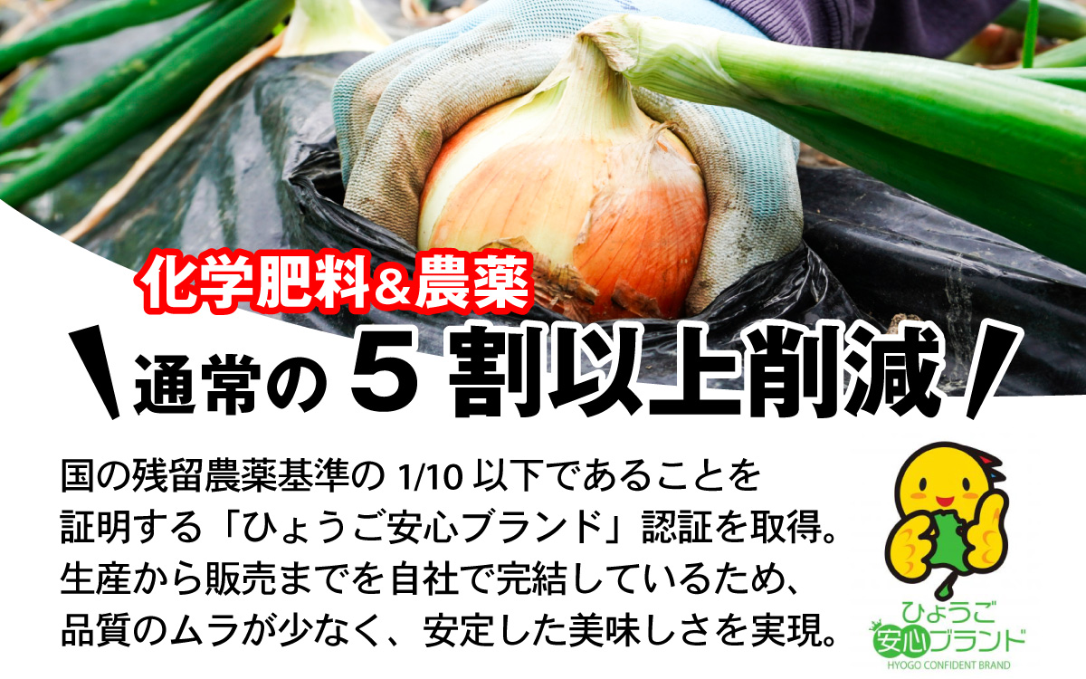 【先行予約】 淡路島 貯蔵玉ねぎ 6kg 訳あり サイズ不揃い 簡易箱でお届け ／ 不揃い サイズ 混合 ミックス S M L 2L 玉ねぎ タマネギ オニオン スライス サラダ ハンバーグ 肉じゃが