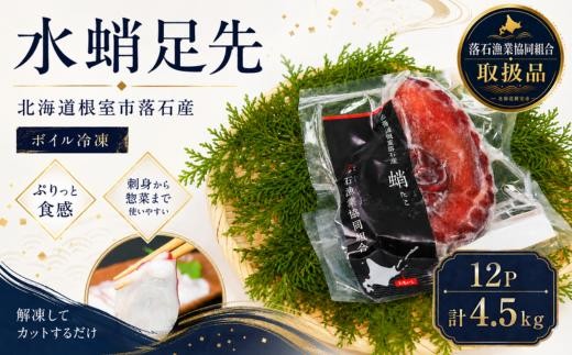 D-20004 【北海道根室産】ボイル水たこ足先12P(計4.5kg)