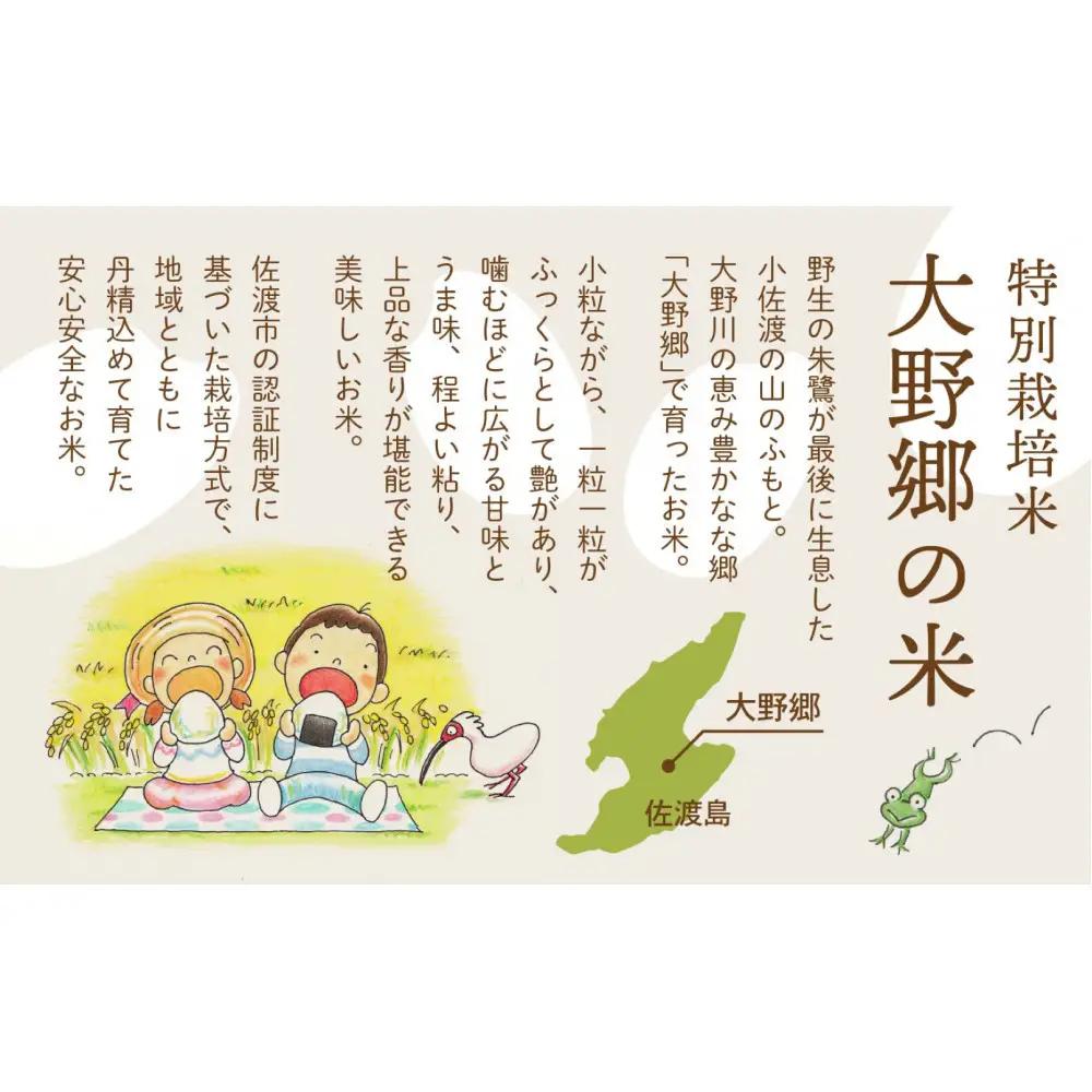 【令和７年産】佐渡島産 特別栽培米こしひかり「大野郷の米」精米5kg×３回 定期お届けコース