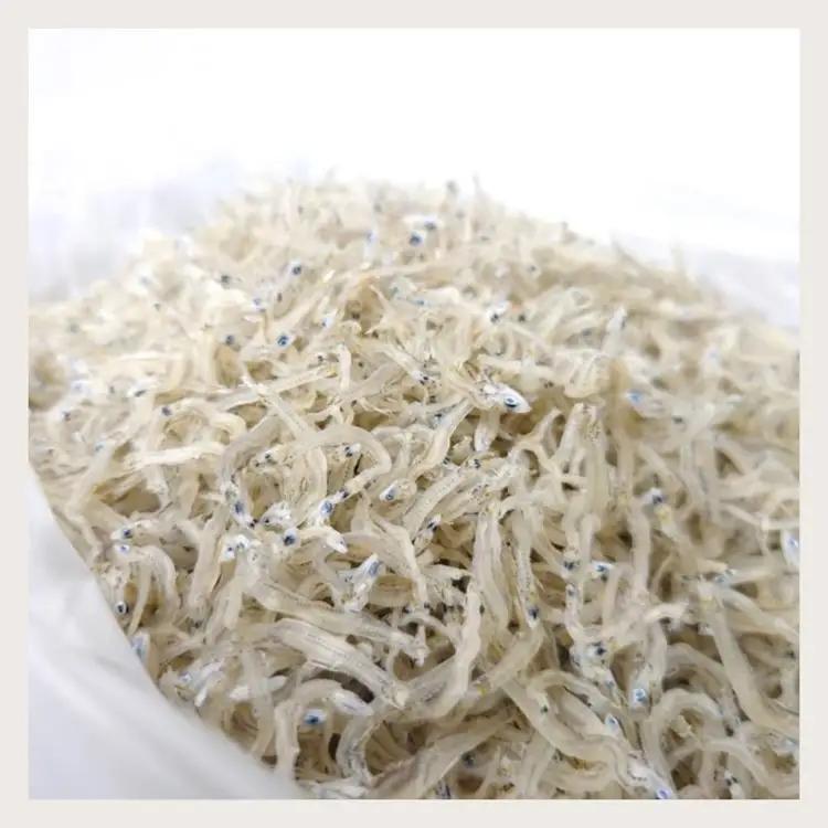 ちりめんじゃこ！！【予約受付中：旬に獲れ立て発送！】上乾ちりめん（500g）【L-76】
