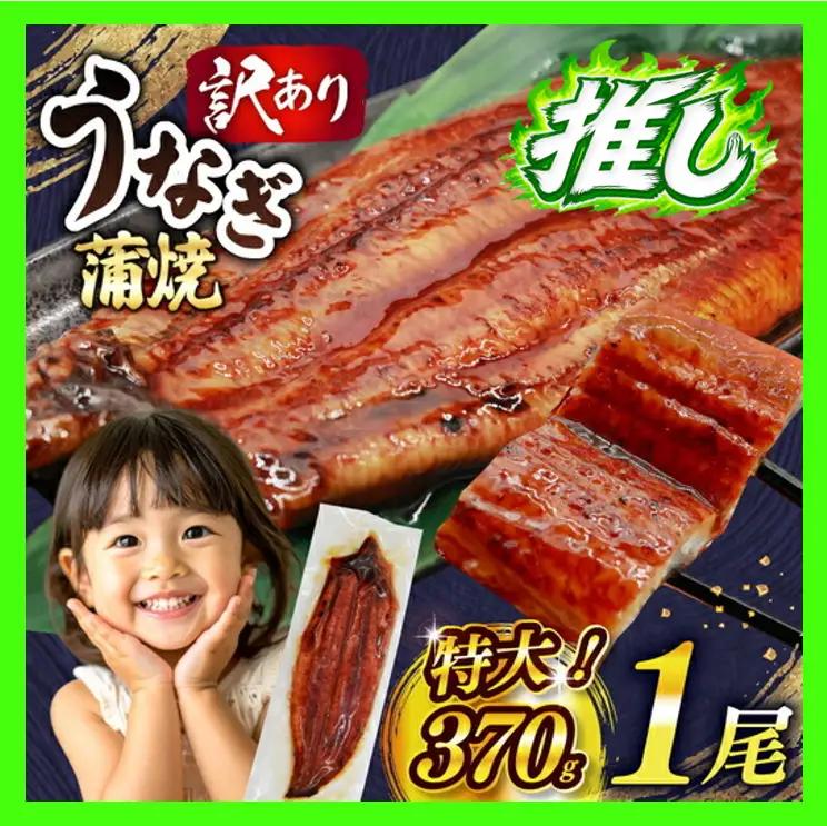うなぎ 訳あり 鰻 蒲焼 特大 1尾 約370g 不揃い 規格外 小分け [大黒物産 福岡県 宇美町 um40bak830008]