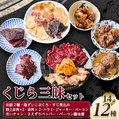 ふるさと納税 あきる野市 くじら三昧12種詰め合せセット