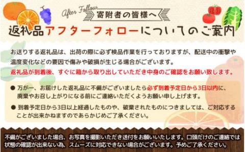 【ご家庭用わけあり】和歌山秋の味覚　富有柿　約3.5kg ※2024年11月上旬頃～11月下旬頃発送【uot741】