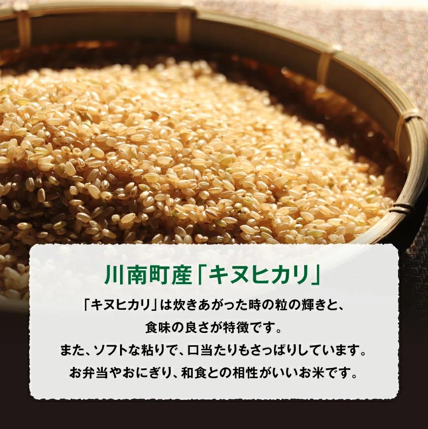 【令和6年産】 黒木農園のお米「キヌヒカリ(玄米)」 5kg【 きぬひかり 米 ごはん 農家直送 宮崎県産 おにぎり 】