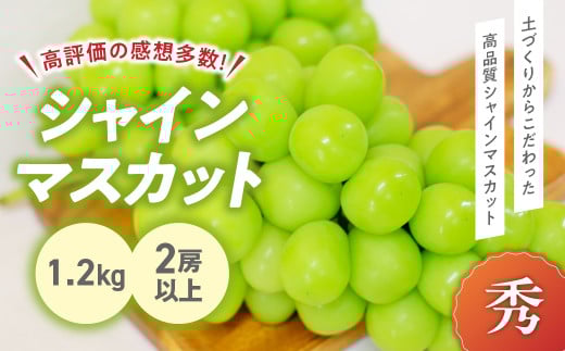 【2025年分発送】 完熟 シャインマスカット 2房以上 1.2kg 先行予約 先行 予約 山梨県産 朝採り 新鮮 土にこだわった シャインマスカット 産地直送 フルーツ 果物 くだもの ぶどう ブドウ 葡萄 シャイン シャインマスカット 新鮮 人気 おすすめ 国産 贈答 ギフト お取り寄せ 甘い 皮ごと 山梨 甲斐市 BI-5