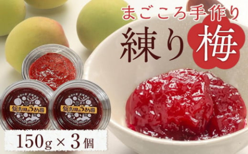 【ふるさと納税】宮城県角田産【無添加】まごころ手作り練り梅(160g)×3個