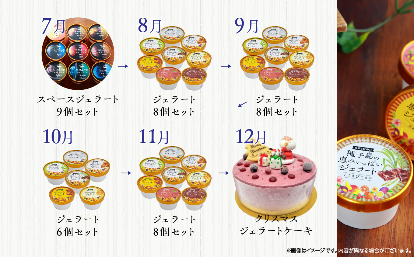 ジェラート定期便12回【種子島ジェラートＨＯＰＥ】