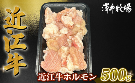 近江牛 ホルモン 500g (250g×2)  黒毛和牛 小分け 牛肉 肉 ギフト 焼肉 焼き肉 自宅用 高級 黒毛和牛 国産 ふるさと納税 ブランド牛 三大和牛 和牛 冷凍 贈り物 内祝い 神戸牛 松阪牛 に並ぶ 日本三大和牛 滋賀県 竜王町 澤井牧場