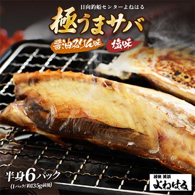 ふるさと納税 美浜町 極うまサバ【塩味&amp;醤油みりん味】半身6パック(塩味3パック、醤油みりん味3パック)食卓のあと一品に★