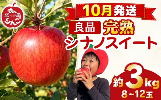 先行予約 贈答用 りんご 3kg シナノスイート 良品  <10月発送> 農家直送 果物 フルーツ 林檎 リンゴ シャキシャキ 国産 産地直送 くだもの デザート 特産品 ご当地 贈答 朝食 昼食 夕食 おやつ 新鮮 プレミアム 甘い 酸味 果汁 今が旬 旬 秋 おすすめ 美味しい ジューシー ringo apple 岩手県 盛岡市 東北 岩手 盛岡 田村ふぁーむ tamura011