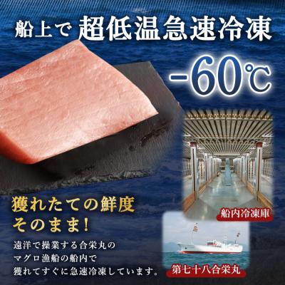 ふるさと納税 室戸市 厳選天然本マグロ　大トロたっぷり500g【数量限定】 |  | 03