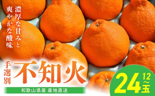 BL6016n_【産地直送】和歌山県産 不知火 12玉～24玉【でこぽん デコポン しらぬい 不知火 柑橘】