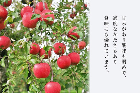 【先行受付】10月上旬より発送 横手市りんご 早生ふじ・やたか【大玉】ご家庭用 約5kg