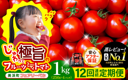 定期便 ≪12ヶ月連続お届け≫ フルーツミディトマト 約1kg × 12回 トマト 野菜  [m37-g001]