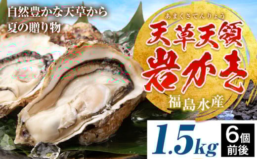 天領岩牡蠣 約1.5kg 福島水産《4月上旬-6月末頃出荷予定》熊本県 苓北町 牡蠣 かき カキ 岩カキ 岩ガキ 貝 BIG ビッグ 生食 バーベキュー 夏天草 天領 苓北 熊本 旬 シーズン 送料無料【配送不可地域あり】