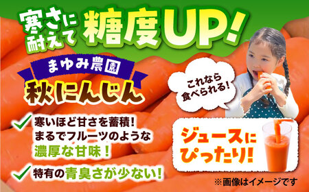【先行予約】【2025年12月順次発送開始】ジュース用秋にんじん(訳あり) / にんじん 規格外にんじん にんじんジュース わけありにんじん 訳ありにんじん はるにんじん