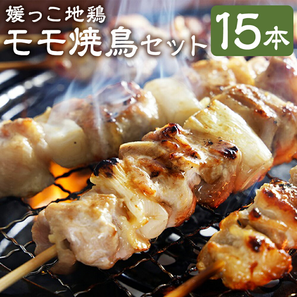 【ふるさと納税】媛っこ地鶏 極上モモ 焼き鳥 セット 15本 鶏モモ 鶏もも お肉 肉 鶏肉 地鶏 焼鳥 惣菜 おかず バーベキュー BBQ 冷凍 国産 愛媛 愛媛県 送料無料（906）