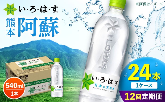 
            【全12回定期便】 い・ろ・は・す 阿蘇の 天然水  540ml 24本 計288本 540ml×24本×1ケース 【コカ・コーラボトラーズジャパン株式会社】 水 ミネラルウォーター 飲料水 コカコーラ ドリンク 540ml ペットボトル 天然水 定期便 [AYAA032]
          