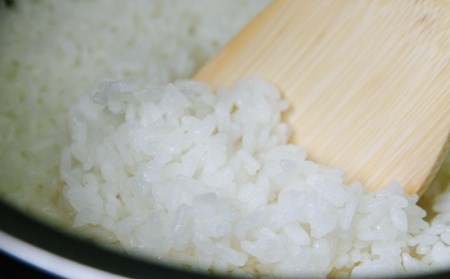 米 お米 有機栽培 国産 紀生(きりゅう) 5kg 【9月末から5月末までの期間で順次発送 【rnm001】