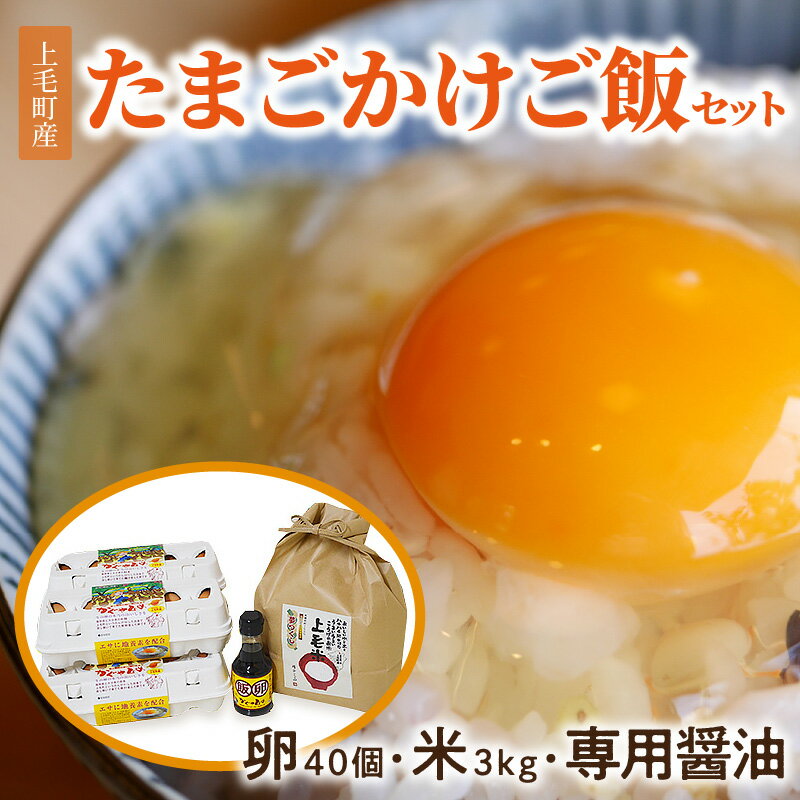 【ふるさと納税】平飼いたまご 新鮮 卵かけご飯 セット ( 卵 40個 お米 3kg 専用醤油 150ml ) かぐやひめ ブランド卵 醤油 米 白米 精米 食品 おすすめ お取り寄せ お取り寄せグルメ 送料無料