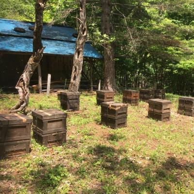 ふるさと納税 遠野市 菊常養蜂園 季節のおすすめはちみつ おまかせセレクト3個入 |  | 01